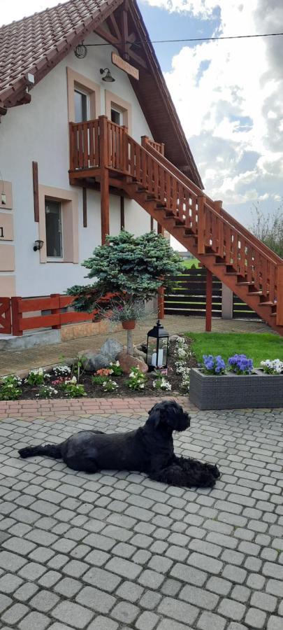 Liwa Garden Krzywa 11 Daire Dış mekan fotoğraf