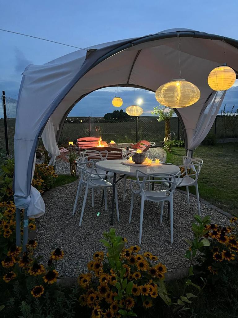 Liwa Garden Krzywa 11 Daire Dış mekan fotoğraf