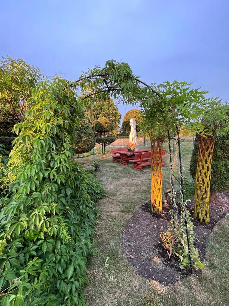 Liwa Garden Krzywa 11 Daire Dış mekan fotoğraf