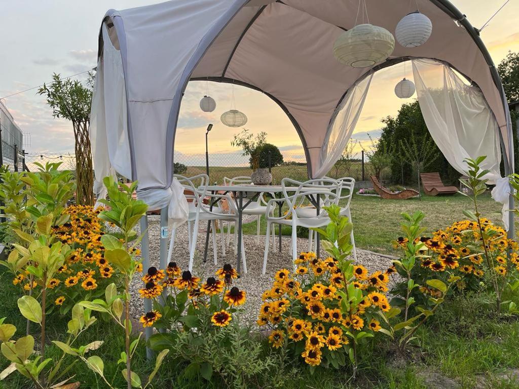 Liwa Garden Krzywa 11 Daire Dış mekan fotoğraf
